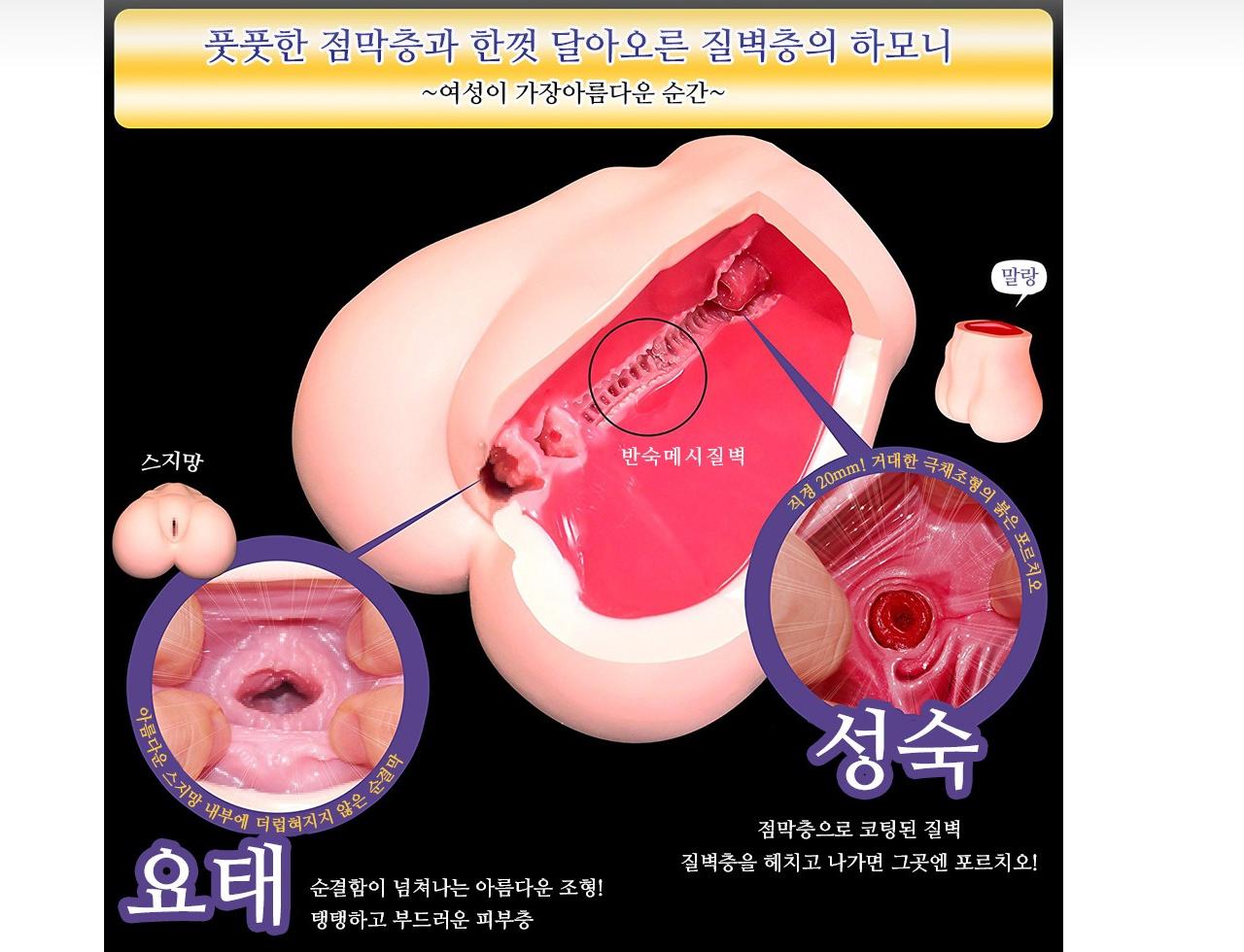 요태성숙 설명