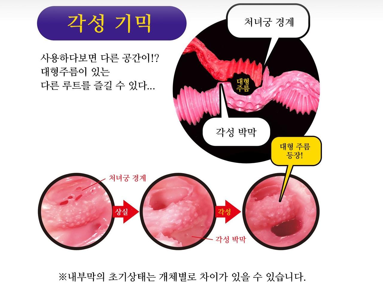 라비앙로즈 소프트 설명