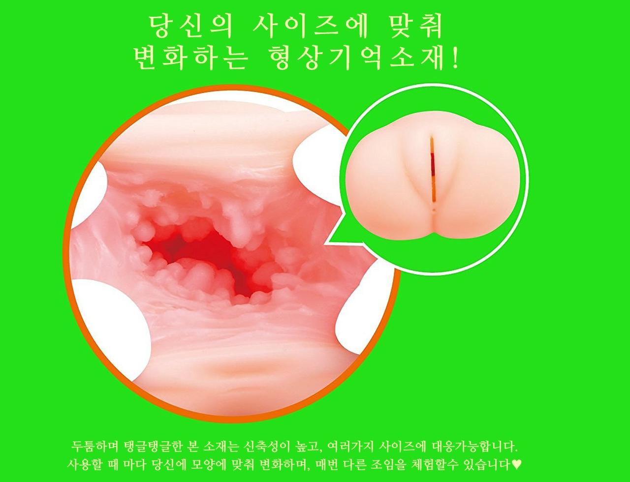 푸니아나 3D 설명