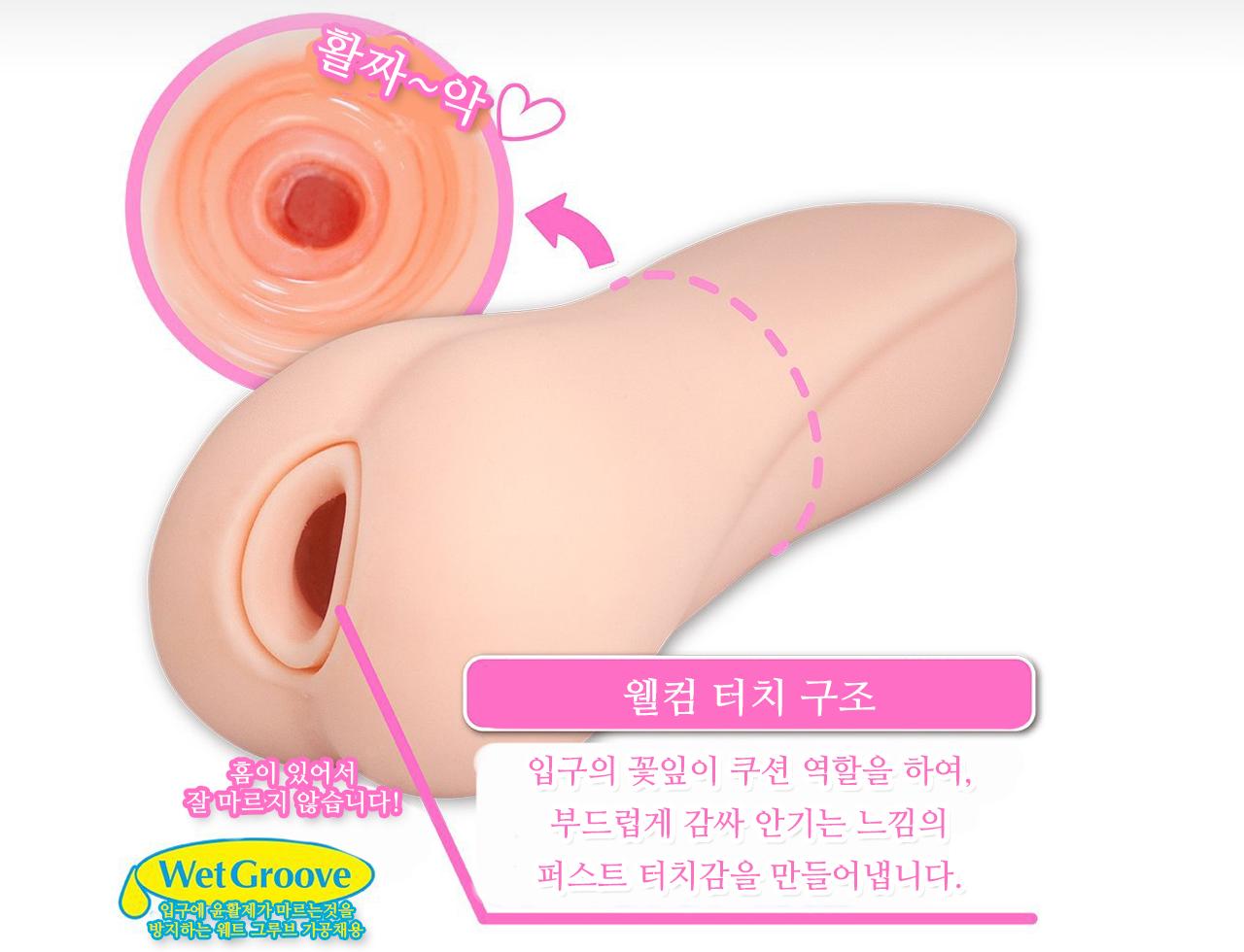 발정 버스가이드 설명
