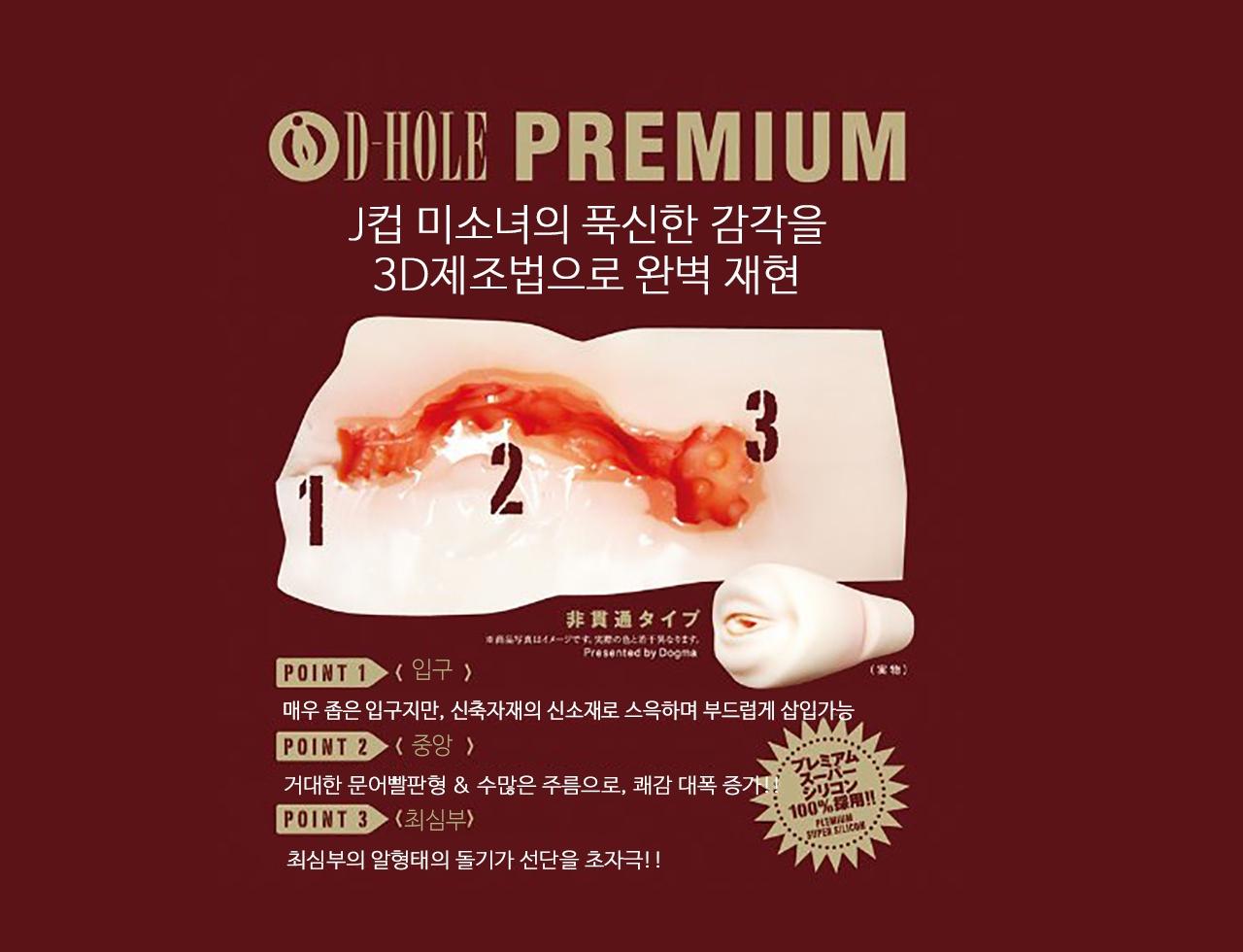 니시나 모모카 D-HOLE 설명