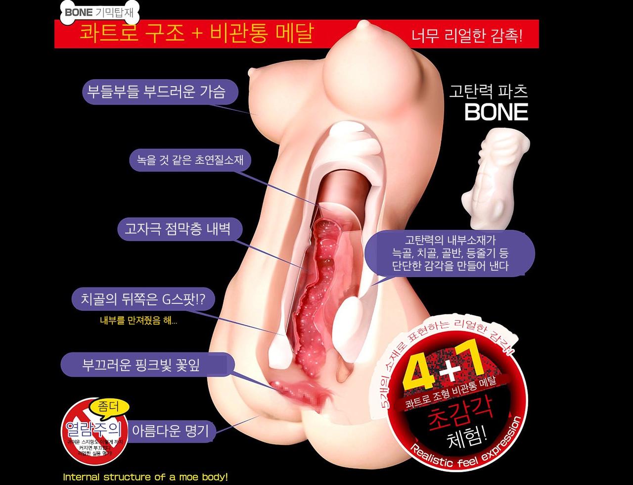 해체신서 설명