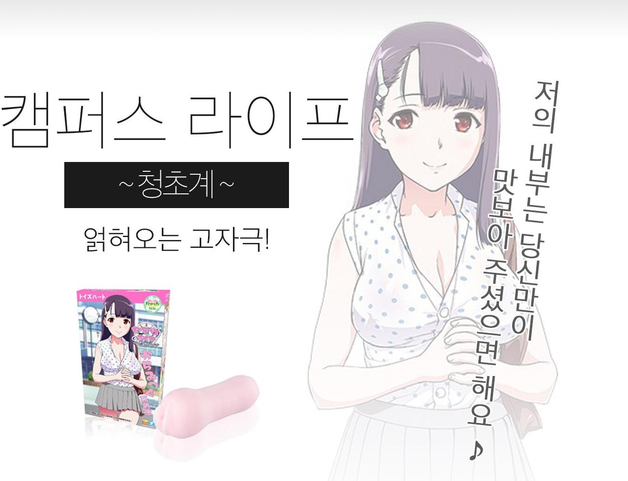 캠퍼스 라이프 청순소녀 설명