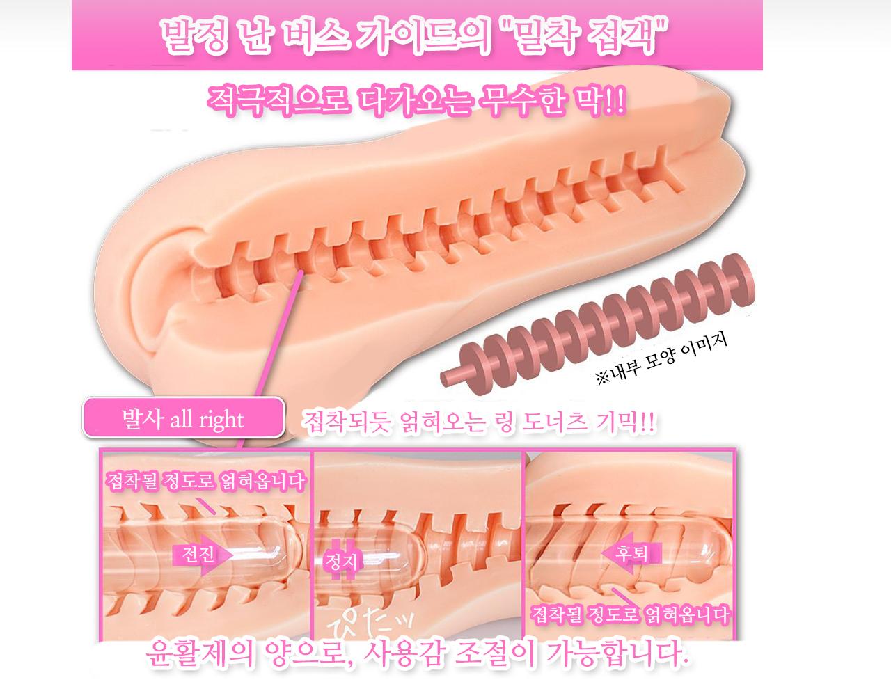 발정 버스가이드 설명
