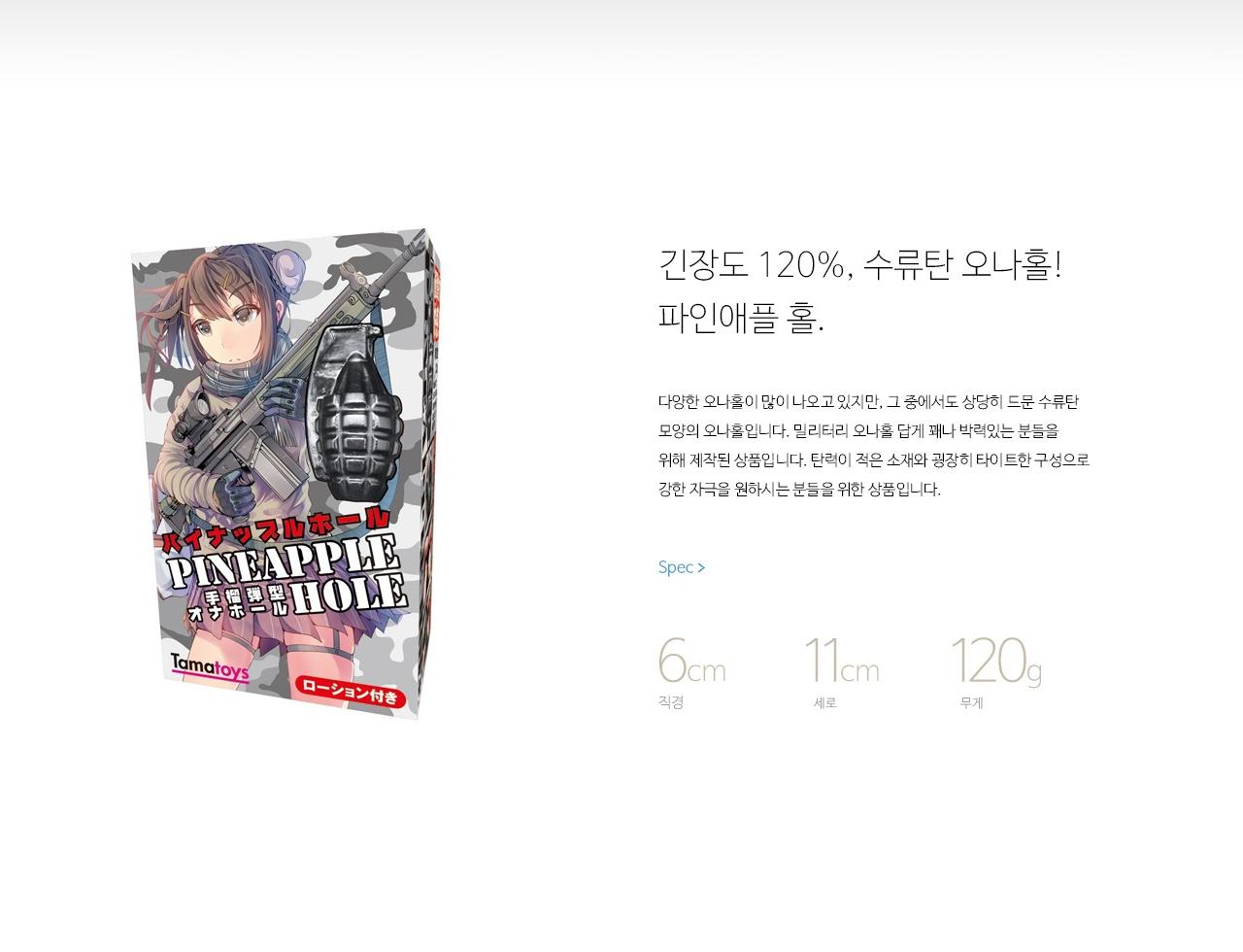 파인애플 홀 설명
