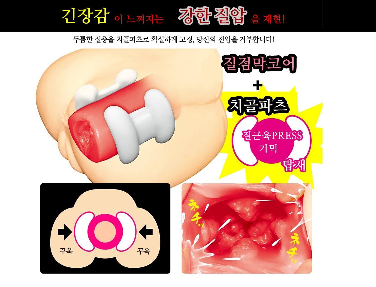 벽엉덩이 설명