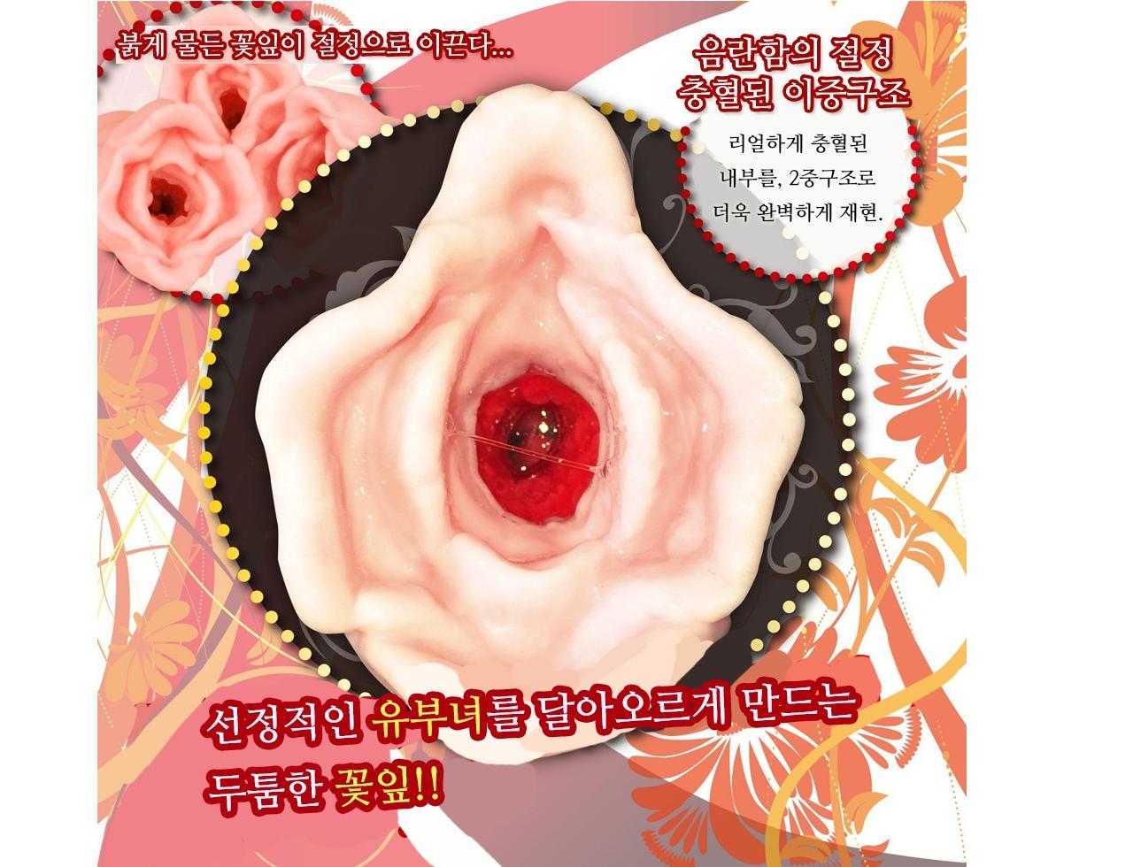스고망4 음화 설명