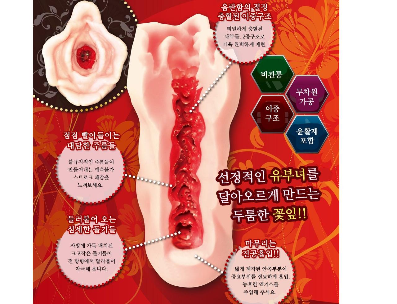 스고망4 음화 설명