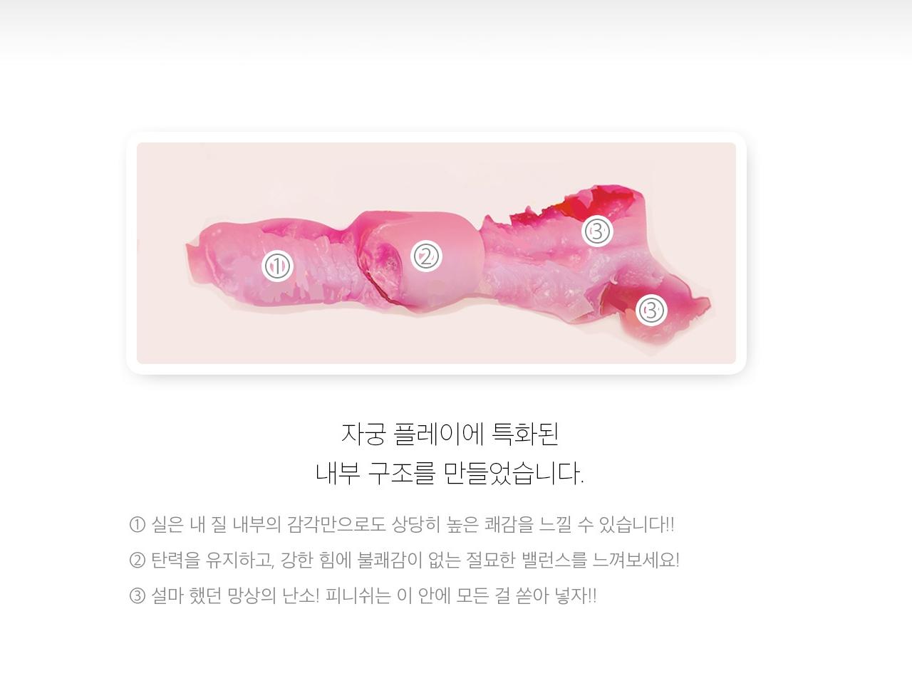 자궁 능욕 설명