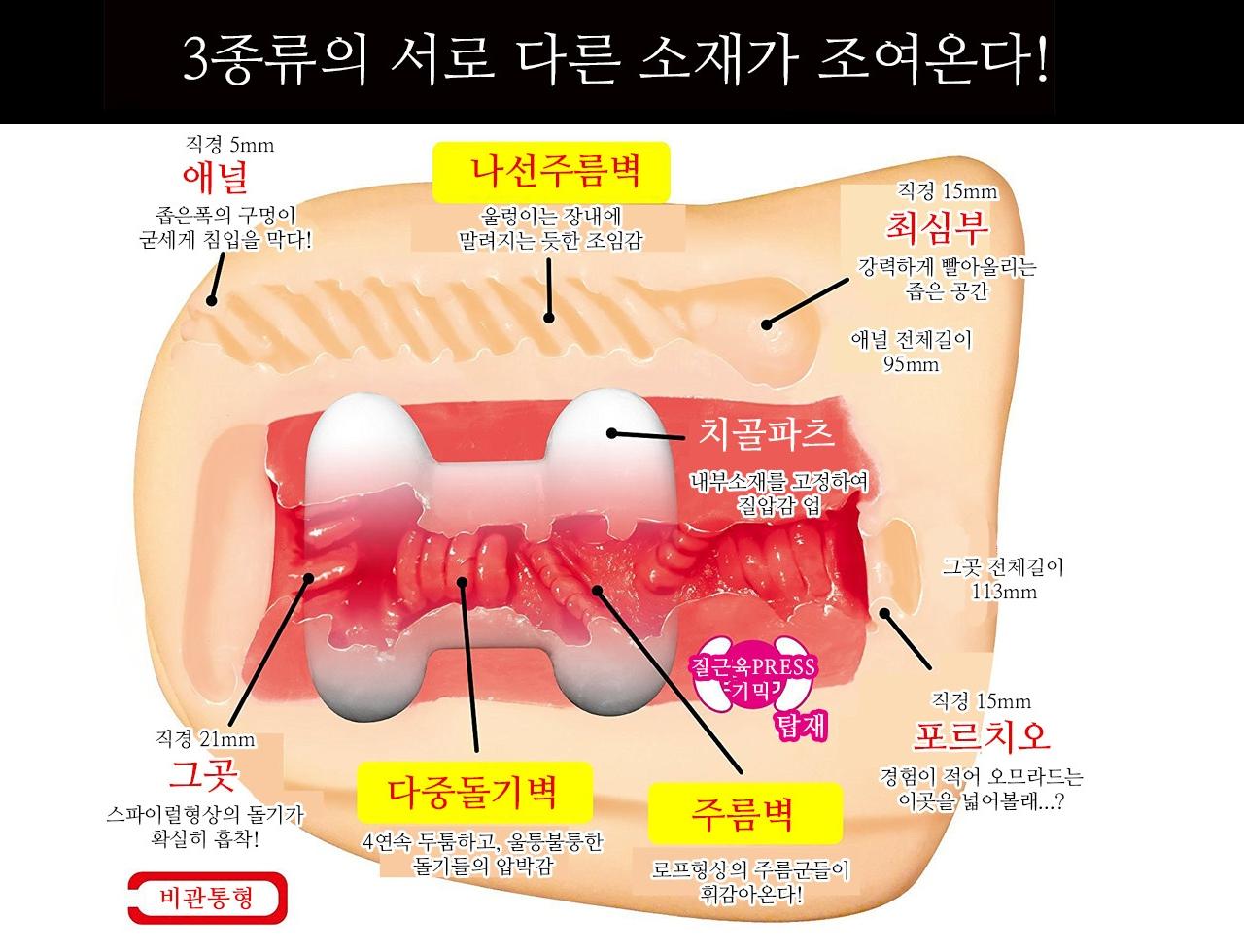 벽엉덩이 설명