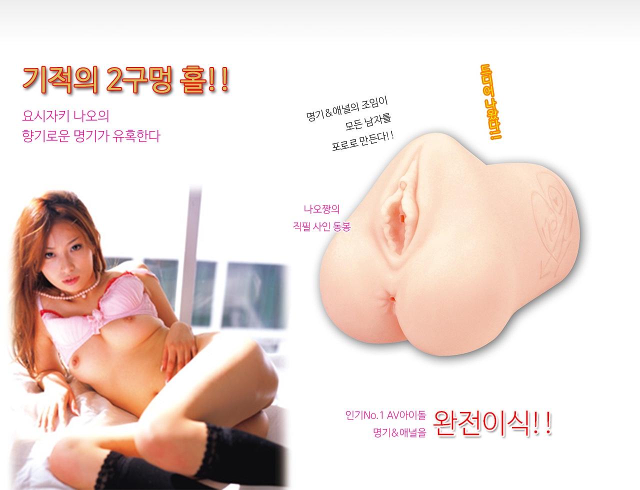 명기의 증명 2 요시자키 나오 설명