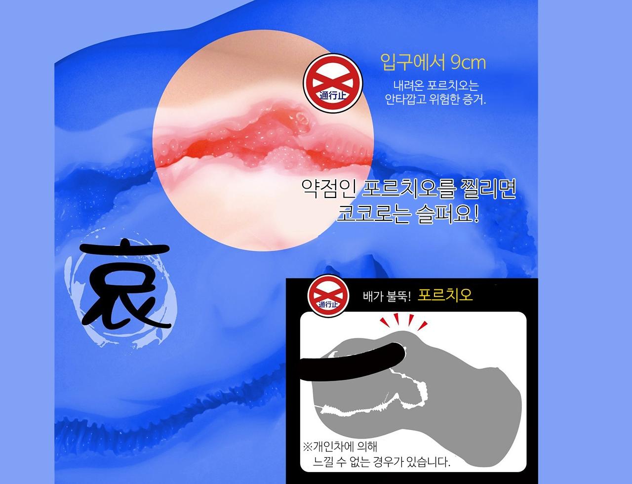 코코로 설명