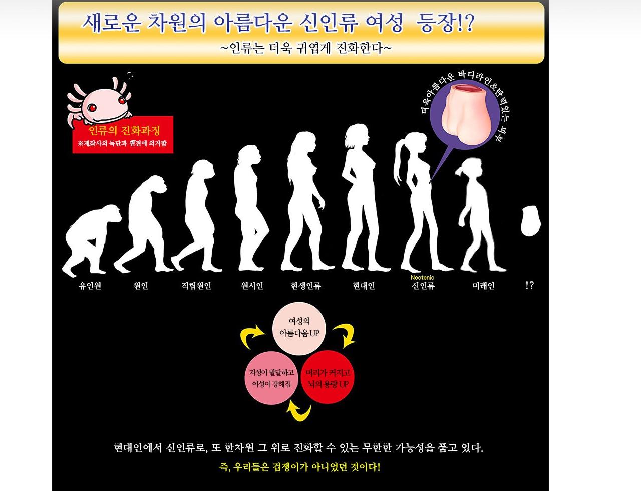 요태성숙 설명