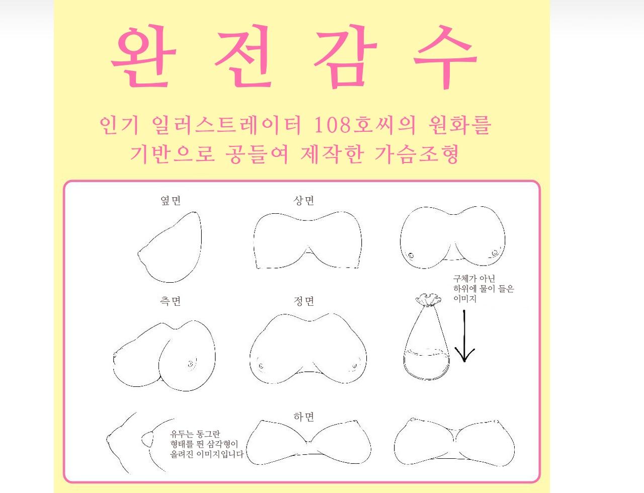 후와토로 가슴 2000 설명
