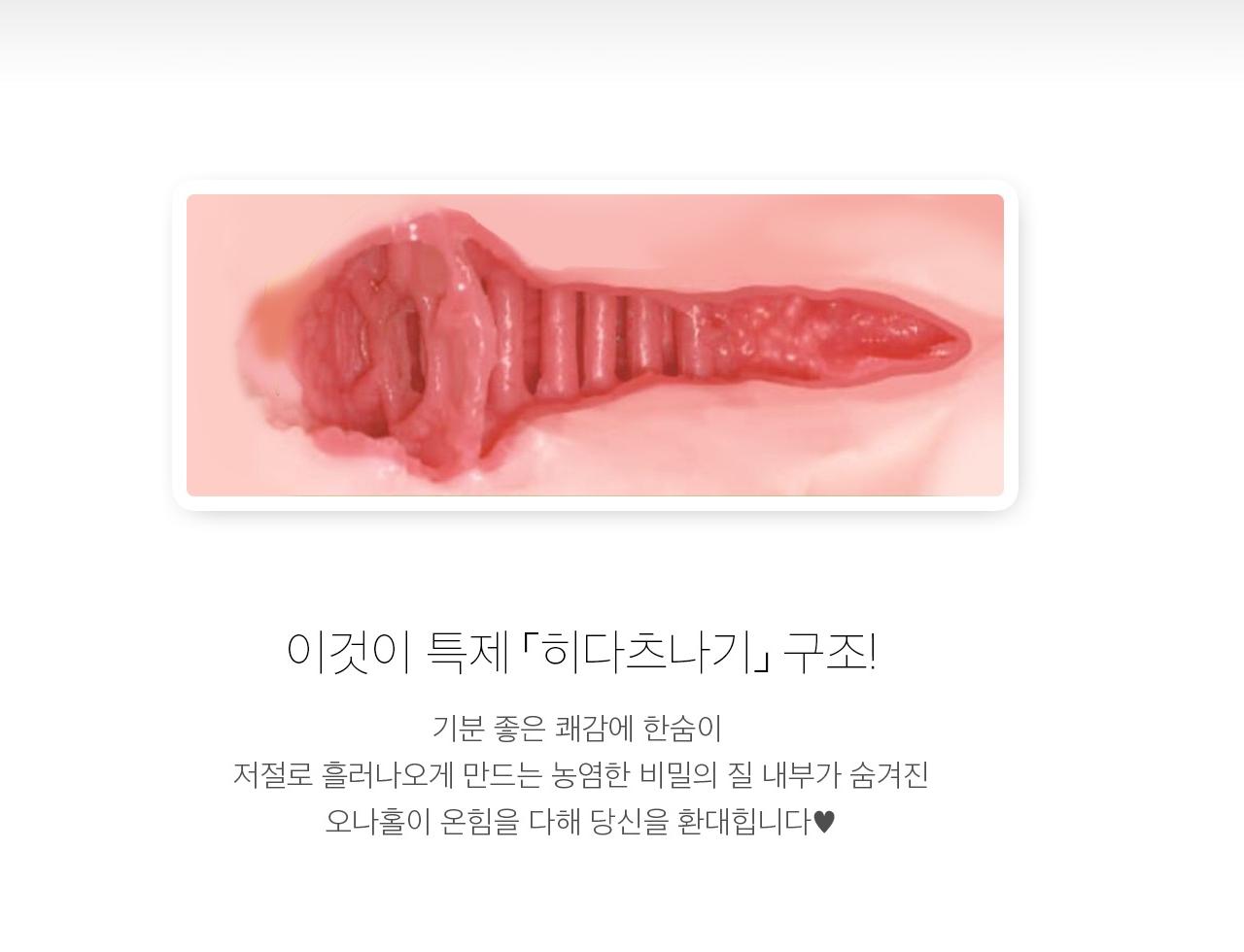 OMOTENASHI 명기 02 타치바나 히나타 설명