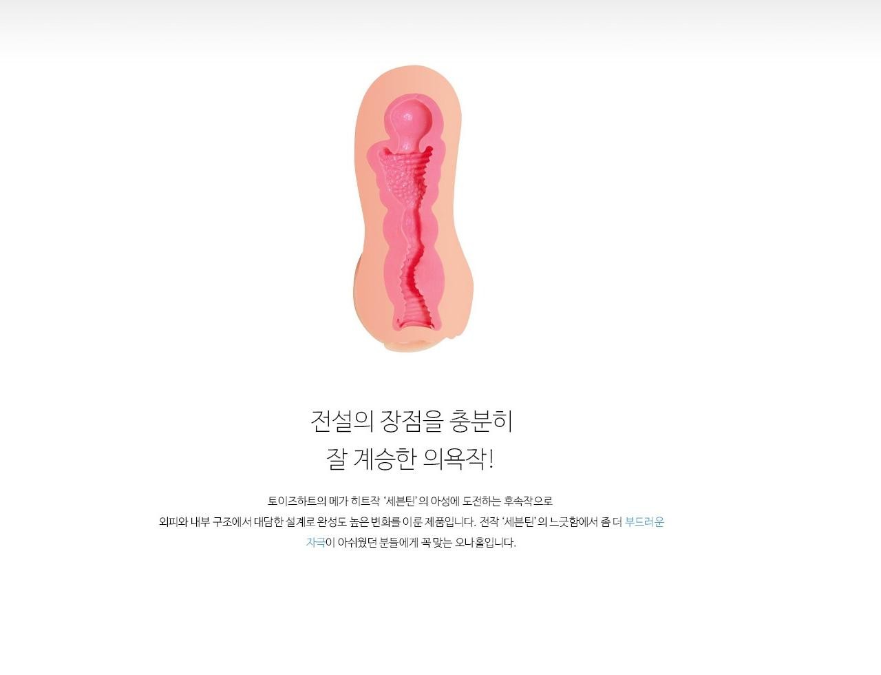 세븐틴 에볼루션 설명
