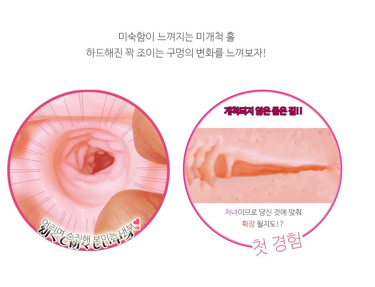 버진에이지 입학 설명