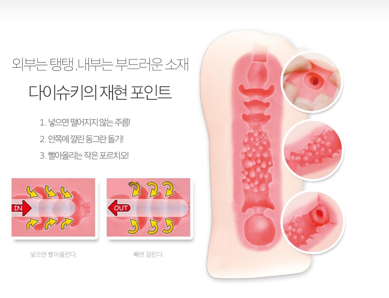 다이슈키 홀드 설명