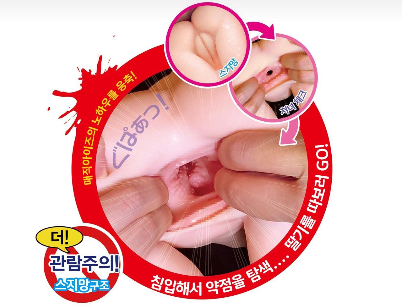러브스타일 이치고 설명
