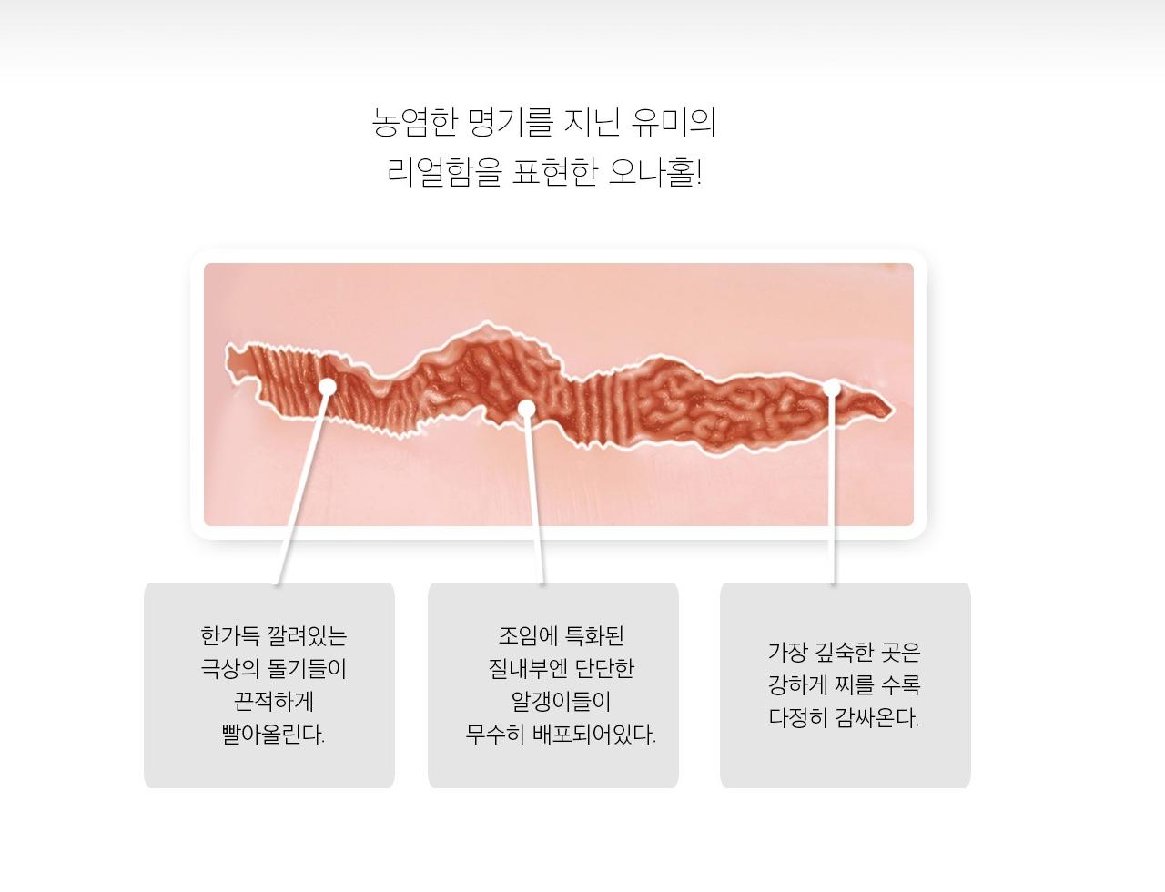 숙녀의별 카자마 유미 설명