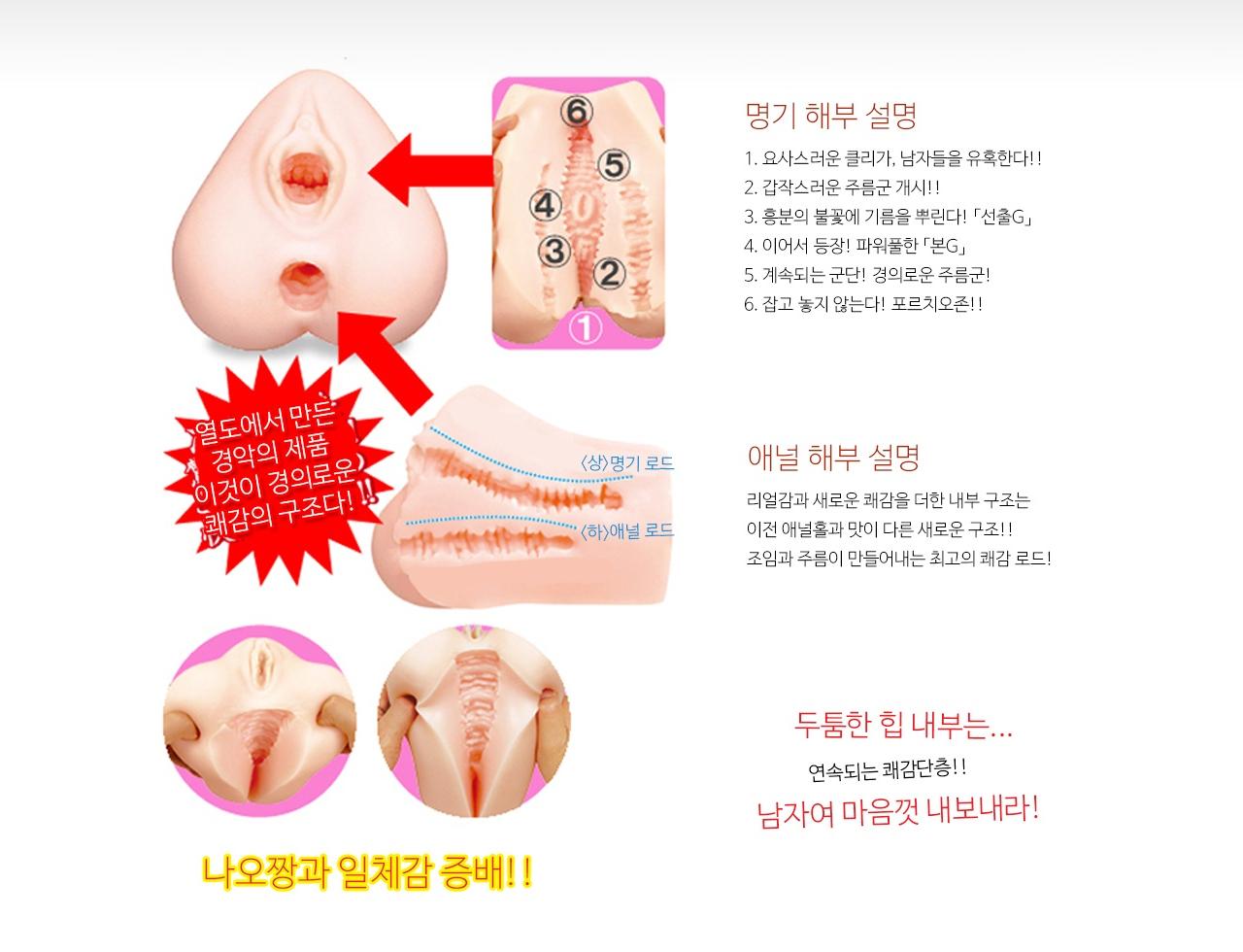 명기의 증명 2 요시자키 나오 설명