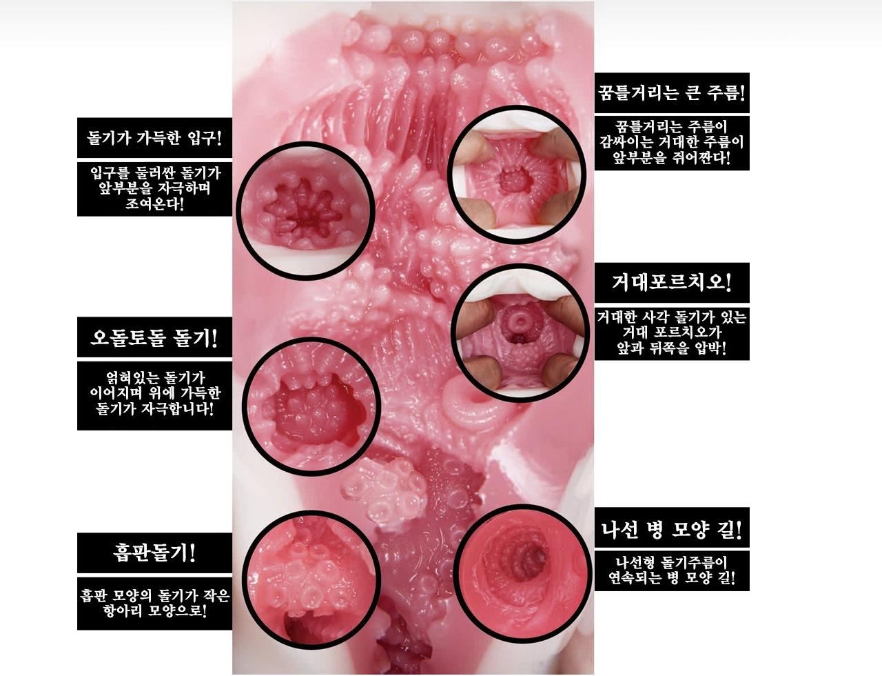 명기의 증명 11 타카하시 쇼코 설명