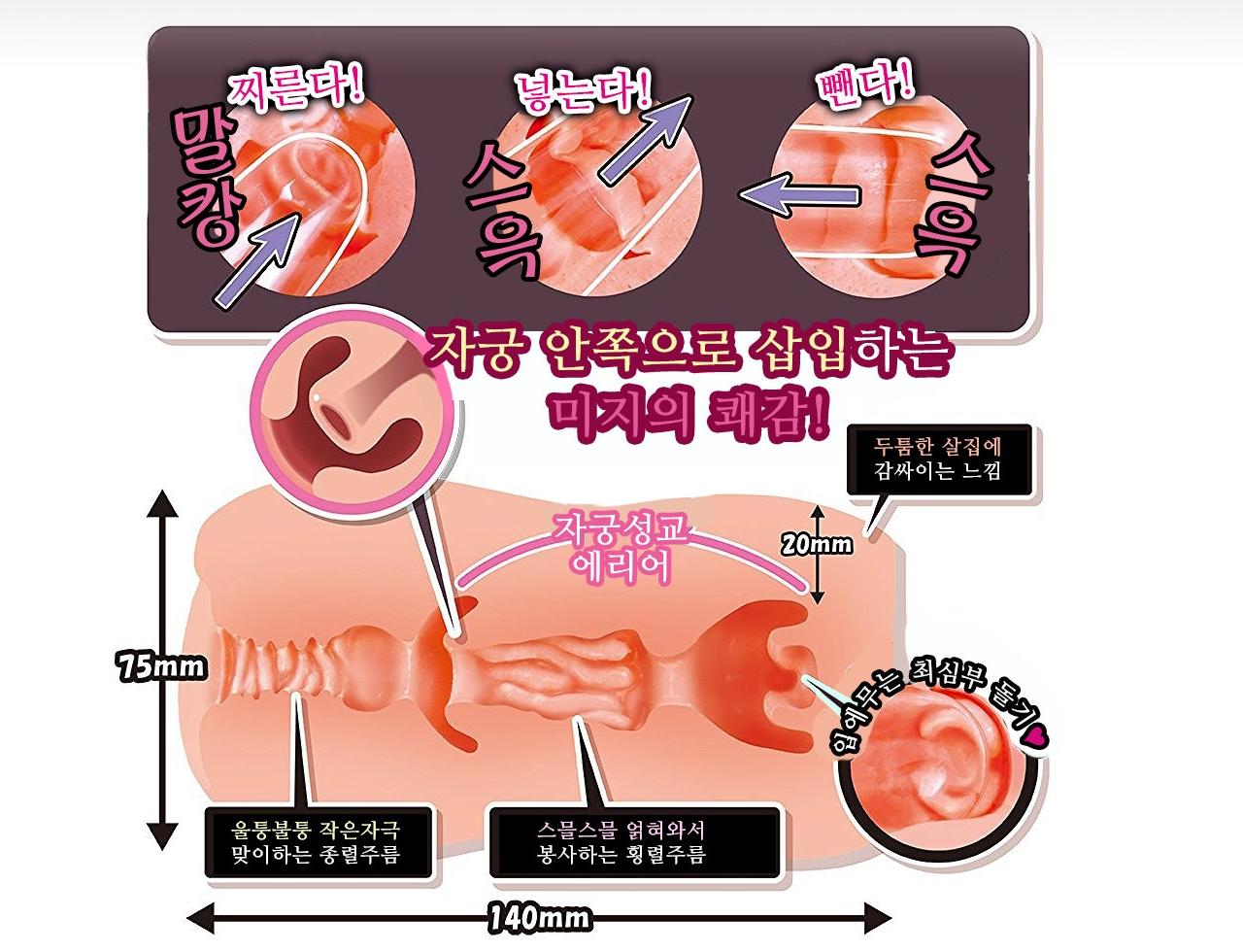 질내사정 메이드 자궁성교 설명