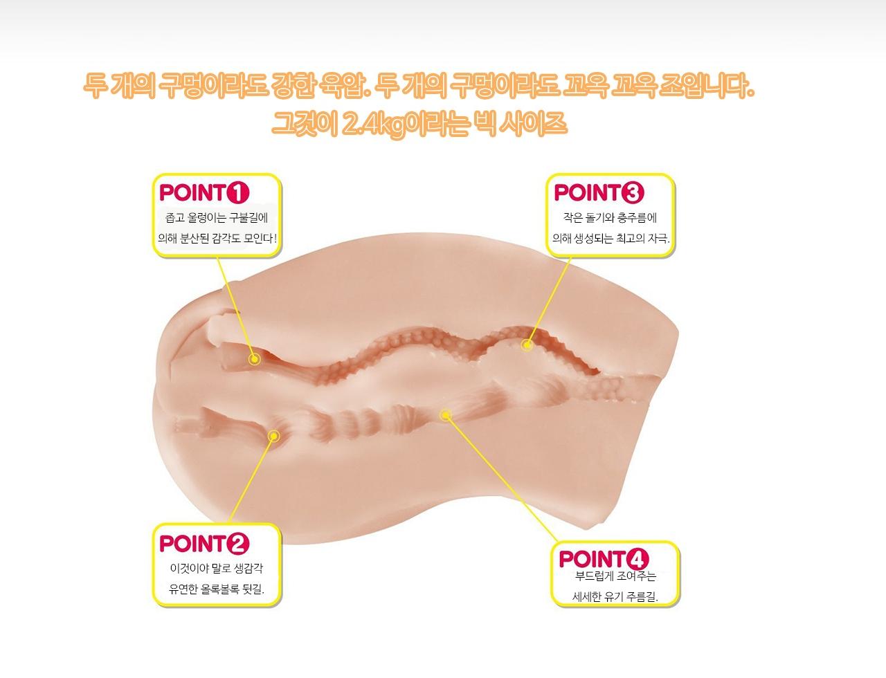 푸니아나 DX 하드 에디션 설명