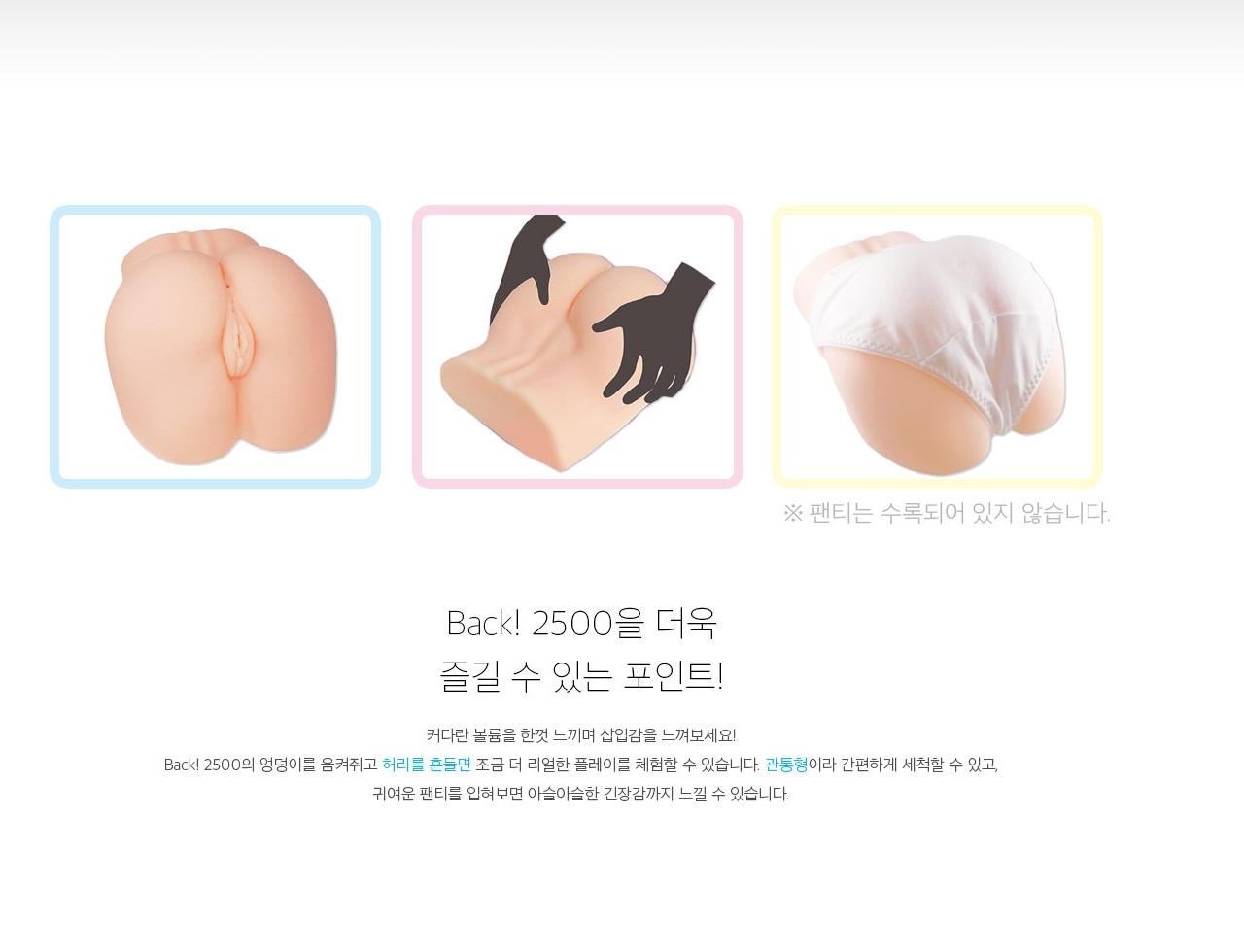 Back! 2500 설명