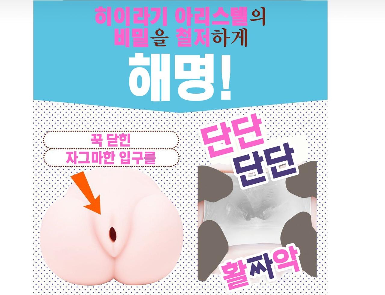납작가슴 연구소 하드 설명