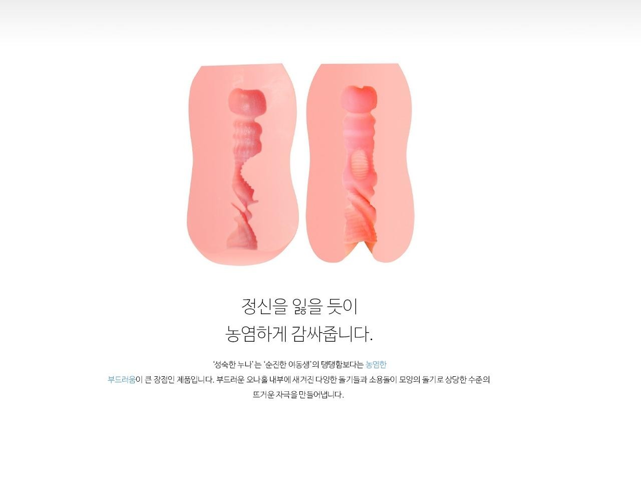 성숙한 누나 설명
