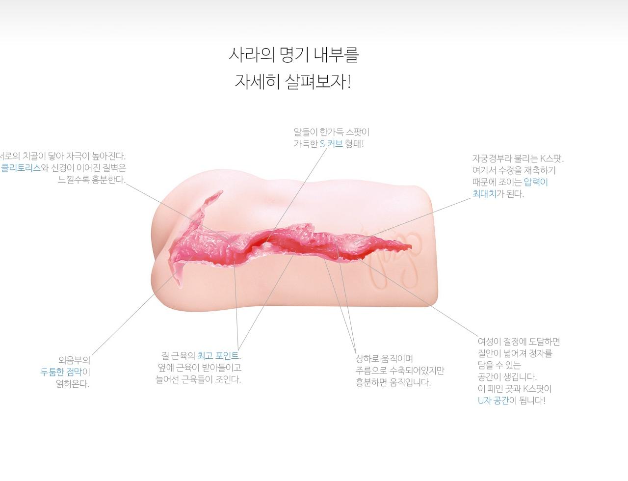 명기의 증명 7 사라 설명