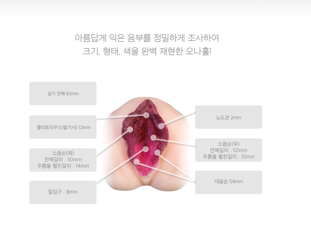 숙녀의별 카자마 유미 설명