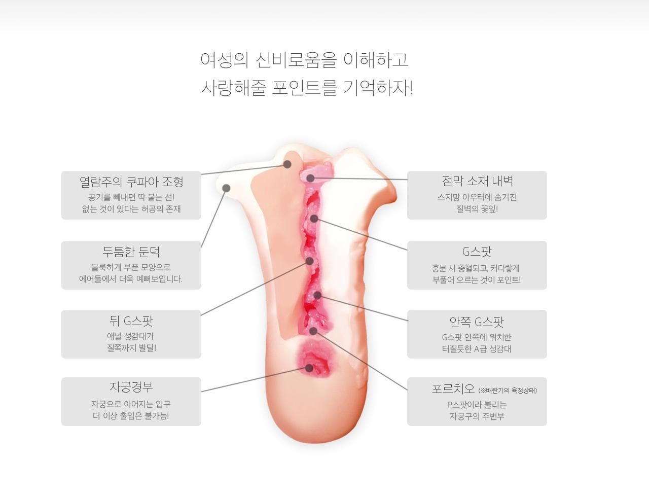 우먼즈 아이 Woman's(i) 설명