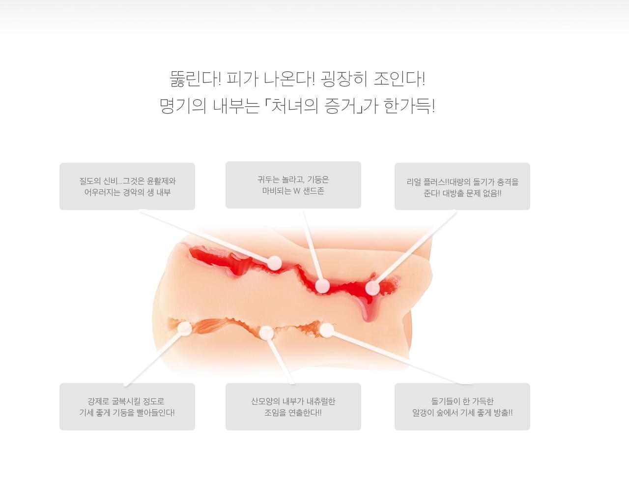 처녀 명기 아오이 치히로 설명