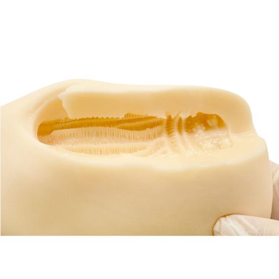 바닥 오나식 PAD-Air 3