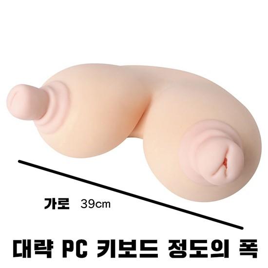삽입가슴 치치이레타