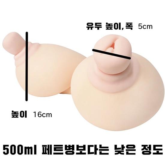 삽입가슴 치치이레타