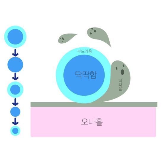 오나홀 클린
