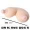 삽입가슴 치치이레타